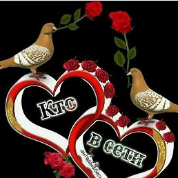 �����, ����, 49 ���