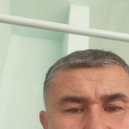 �����, ������, 49 ���