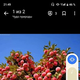 ,  , 37 