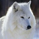 ���� ������, ������, 58 ��� - ��������� 4 ������� 2023 � ������ ���� ����������