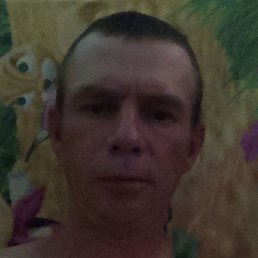 ������, ������ ��������, 41 ���