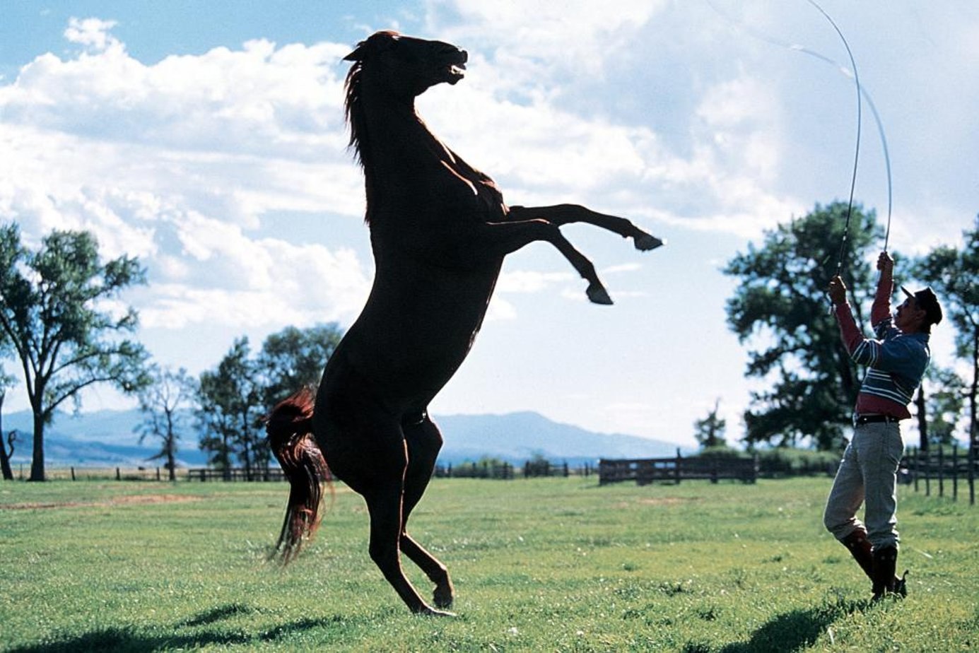 Blocking the horse. Заклинатель лошадей 1998. Скарлетт Йоханссон Заклинатель лошадей.
