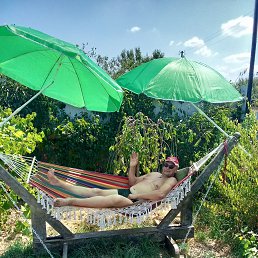 ���� �������, ������, 68 ��� - ��������� 2 ������� 2023