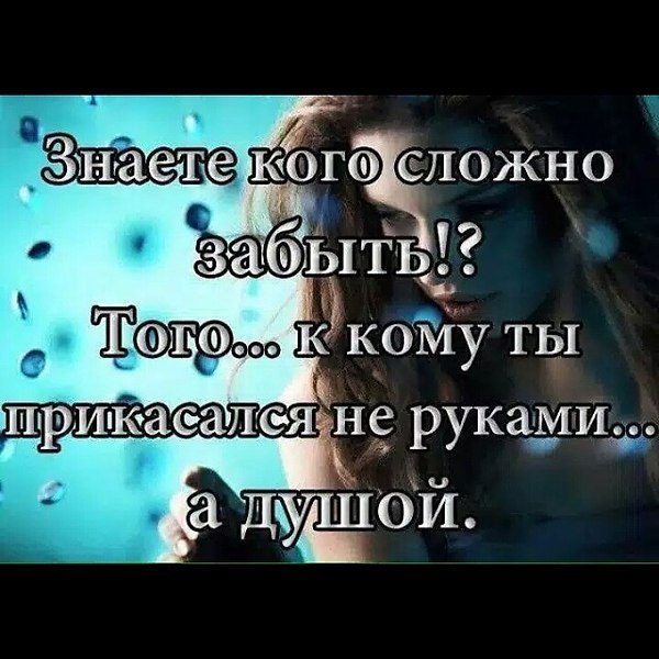 Lunapet - 26  2023  06:35