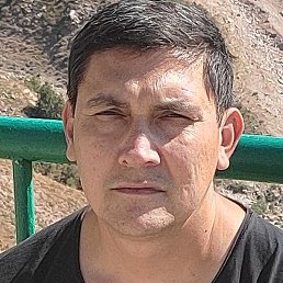 �����, �������, 41 ���