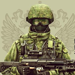 �����, ������, 51 ���