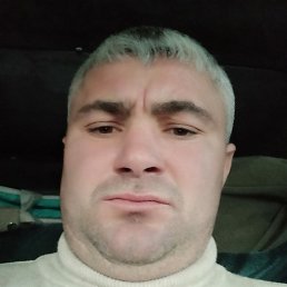 �������, �����, 36 ���