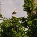 ���� ����, ������, 54 ���� - ��������� 29 ��� 2023