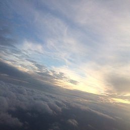 �����, ������