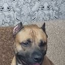 ���� ����, ����������, 44 ���� - ��������� 10 ��� 2023 � ������ ���� ����������