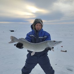 ���������, ������, 46 ���