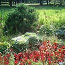 ���� ������, �����-���������, 74 ���� - ��������� 20 �������� 2023