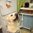 ���� �������, ������, 53 ���� - ��������� 8 ���� 2023