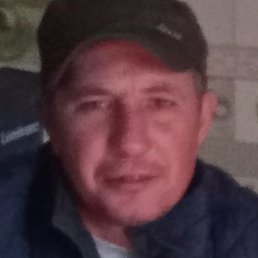 �������, ������, 41 ���