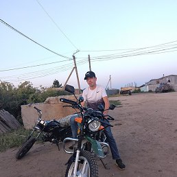 �������, ������, 37 ���