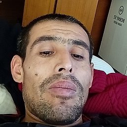 �����, �����, 41 ���