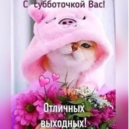 �����, ������������, 51 ���