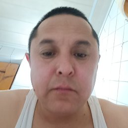 �����, �����, 43 ����