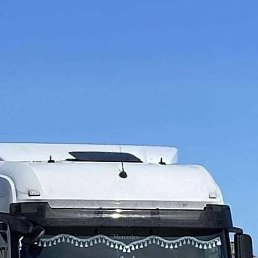 ��������, ������, 38 ���