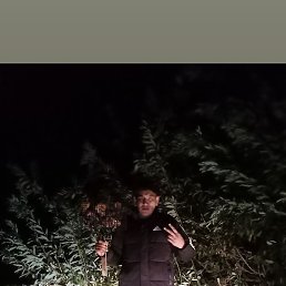 �����, �������, 34 ����