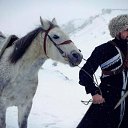 ���� �������, ���������, 46 ��� - ��������� 13 ������� 2023 � ������ ���� ����������