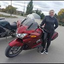 ���� �����, ����, 42 ���� - ��������� 20 ������� 2023 � ������ ���� ����������