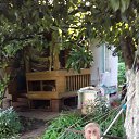 ���� ���� �����������, ������� - ��������� 25 ������� 2023 � ������ ���� ����������