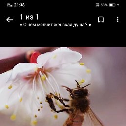 ���� �, ������, 37 ��� - ��������� 5 ���� 2023