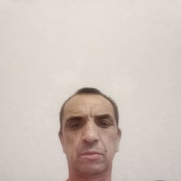 , 49 , 