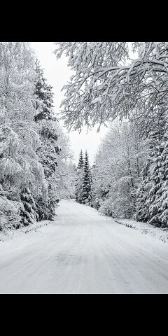 ���� ���, ������������, 44 ���� - ��������� 30 ��� 2023