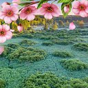 ���� ���������, ���������, 70 ��� - ��������� 18 ������ 2023 � ������ ���� ����������