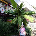 ���� ����, ���������� - ��������� 10 �������� 2023 � ������ ���� ����������