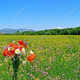 ��������, ������, 54 ����