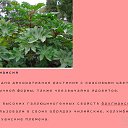 ���� �����, �����-���������, 67 ��� - ��������� 16 ������� 2023