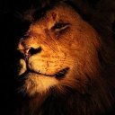 ���� ������, ������, 61 ��� - ��������� 10 ��� 2023 � ������ ���� ����������