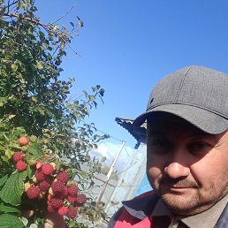 �����, ������, 40 ���