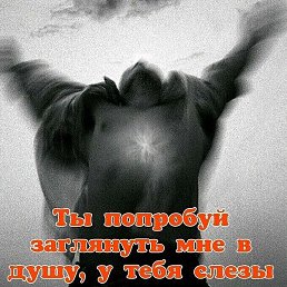 �����, ������, 49 ���