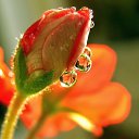 ���� �����, ������ - ��������� 1 ����� 2023 � ������ ���� ����������