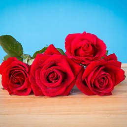 �������, �����, 41 ���