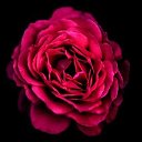 ���� ������, ����� - ��������� 11 ������� 2023 � ������ ���� ����������