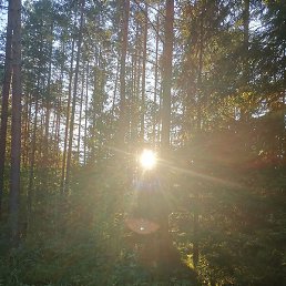 ����, ������, 52 ����