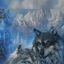 ���� Volf, ������ - ��������� 18 ������ 2023 � ������ ���� ����������