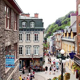 Zura, �������