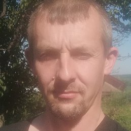 ���������, ���������, 41 ���