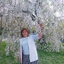 ���� �������, ����, 62 ���� - ��������� 7 ��� 2023 � ������ ���� ����������