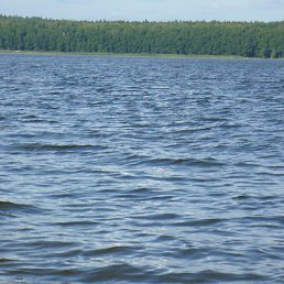 ���������, �������, 65 ���