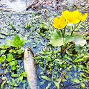 ���� Michail, ������, 42 ���� - ��������� 7 ������� 2023