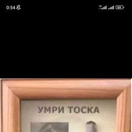 ���� �����, �������, 41 ��� - ��������� 31 ��� 2023