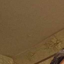 �����, �����-���������, 49 ���