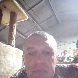 ������, �����, 47 ���